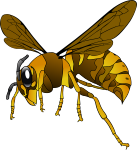 Brown-Yellow Hornet